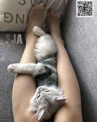 av色图国产_BD英语免费在线播放