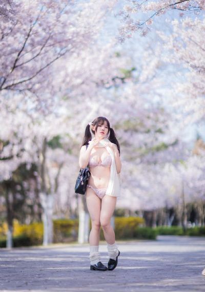 国产功放品牌有哪些_蓝光高清视频播放