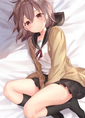 电视剧黑狐下载_HD日韩免费观看